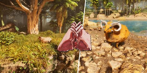 How to get raw mutton in ark mobile. .  You can also spawn at highlands to g...
