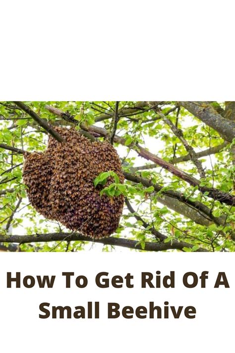 How to get rid of a beehive. If you need a quick fix to get rid of a beehive or wasp nest, you can use a wasp killer. Apply it several times before trying to touch the nest. If you decide to spray the wasp nests, take a few safety precautions. Wear long sleeves, gloves, a hat with a towel draped over your neck, and even a face mask. 