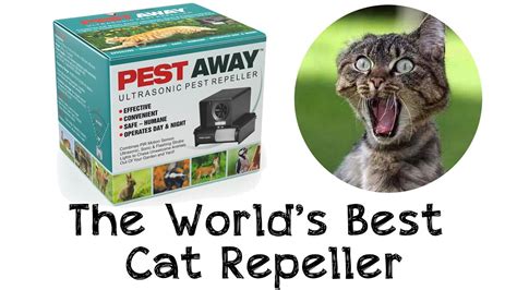 How to get rid of a cat. 1. Use scents cats hate such as peppermint and citrus. 2. Plant flowers that are known to deter felines such as lavender. 3. Get rid of unwanted cats with a motion-activated sprinkler. From knocking over pots to digging up your flower beds, an uninvited cat in your yard can be a bit of a pest! Even for cat lovers, these furry friends can become ... 