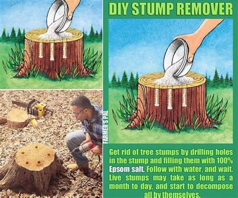 How to get rid of a stump. Step 3. Use a come-along tool to loosen the central trunk using a cable if a bush is too large to remove using a pry bar. Wrap one end of the come-along cable around a huge tree, and the other end of the cable around the undesired root ball. To loosen and pull out of the ground, crank the handle of the come-along tool. 