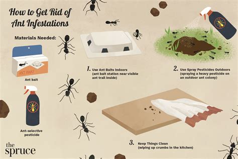 How to get rid of ant infestation. One option is to sprinkle the mixture of sugar and baking soda on ant mounds. You could also add some water to it to create a paste. Some people have found that … 