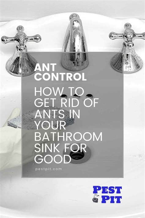 How to get rid of ants in bathroom. Here are a few ideas on how you can make a bait: Add ¼ cup of borax acid into ¾ cup of maple syrup. Mix ¼ cup of borax acid into ¾ cup of powdered sugar. Add one part of borax acid into three parts of peanut butter. Make sure to use both liquid and solid baits as adult ants can only process liquids. 