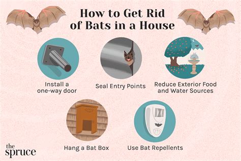 How to Get Rid of Bats · 1) Identify all the areas where bats are getting inside the house. · 2) Install a valve or bat-door on the active entry points. · 3) S.... 