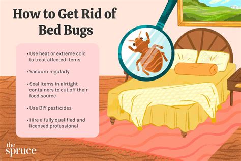 How to get rid of bed bugs without an exterminator. To emulsify the solution, add ½ teaspoon of soap. Shake to combine. Spray your bed, sheets, crevices, walls, and every other place where bed bugs might be hiding, then wipe them down. For neem oil to kill bed bugs, repeat three times a day for the first three days, then begin treating every other day for 18 days. 