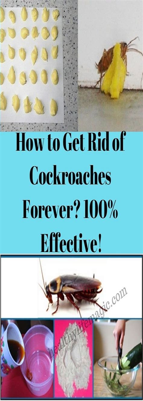How to get rid of cockroaches forever. Cockroaches populate quickly, so you'll want to take action as soon as you suspect you have them. First, don't panic. Second, follow these simple steps to kill cockroaches and keep them from coming back. Kill on sight. If you see a cockroach, try to not let it get away. A female German cockroach produces 40 eggs at one time. 