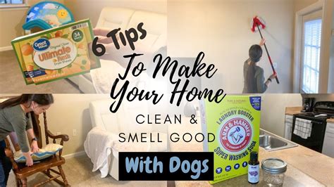 How to get rid of dog. Nov 10, 2017 ... White vinegar is especially good at removing dog smells and other foul odours. If the carpets are dirty too, then consider hiring someone to ... 