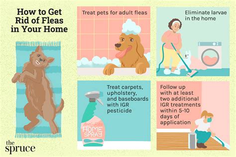 How to get rid of fleas on your pets and in your home Tom s Guide