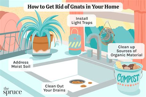 How to get rid of gnats inside your home Tom s Guide