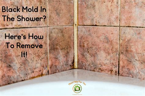 Baking Soda and Water. Here’s an effective way to eliminate mold in your shower using baking soda and water: Create a thick paste by mixing half a cup of baking soda with half a cup of water. Apply the paste to the edges of the drain opening and let it …. 