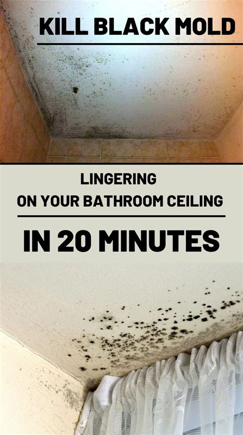 How to get rid of mold in bathroom ceiling. Clean, Rinse, Dry. Once dry, use warm water and a cloth to carefully wipe the ceiling clean. If you still see mold, you can spray it down again with the DIY solution and repeat these steps. When the ceiling is clear of all mold, simply give it time to dry. Open any windows and doors to the bathroom to encourage ventilation and remove the smell ... 