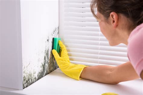 How to get rid of mold on walls. 1 gallon of water. 1 bucket. 1 scrub brush. tb1234. Getting rid of mold inside walls with bleach requires safety gear and a well-ventilated area. Mix a half cup of chlorine bleach with one gallon of warm water. Use a scrub brush to scour the visible mold stain away, and rinse well. 