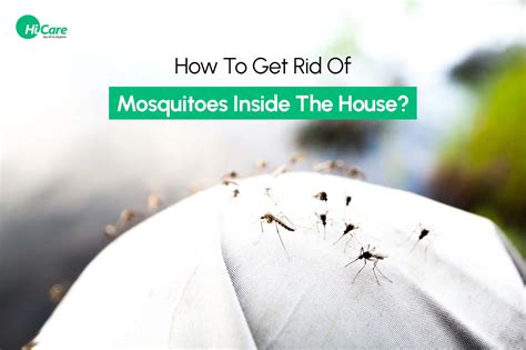 How to get rid of mosquitoes inside a house. 1. Remove standing water. Standing water is where mosquitoes make more mosquitoes. Limit the insects’ ability to breed by clearing your gutters of clogs, filling in sunken parts of your lawn ... 