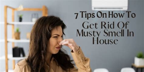 How to get rid of musty smell in house. 