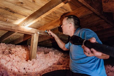 How to get rid of rats in attic. Bill Swank. Last updated: February 27, 2024. Eliminating rats from an attic involves a combination of exclusion, sanitation, and trapping. This post will guide you … 
