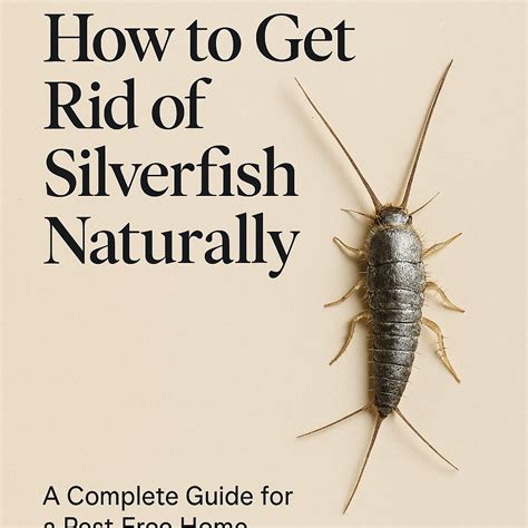 How to get rid of silverfish in your home Tom s Guide