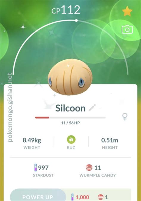 How to get silcoon in pokemon go