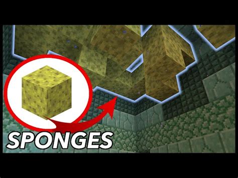 How to get sponges in Minecraft 1 19 update
