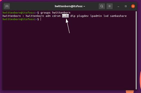 How to get sudo access in ubuntu