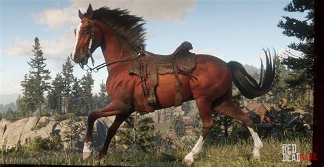 How to get the Red Chestnut Arabian horse in Red Dead …