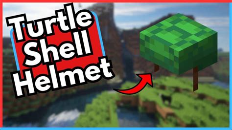 How to get the turtle helmet in Minecraft 1 19