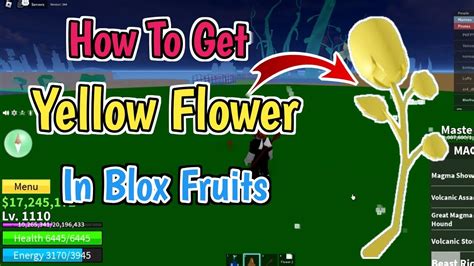 How to get the yellow flower in blox fruits. Things To Know About How to get the yellow flower in blox fruits. 