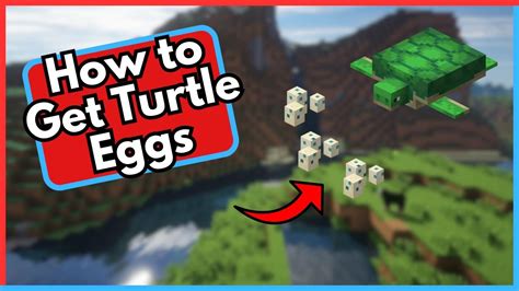 How to get turtle eggs in minecraft