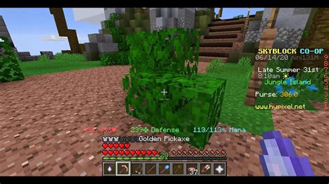 How to get vines in hypixel skyblock. Things To Know About How to get vines in hypixel skyblock. 