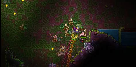 How to get vines terraria. Sulphurous Vines grow underneath blocks below the sea's surface, and emit a bright green light. The Magic Conch will still teleport the player to the Sulphurous sea. Microbial Clusters can also be found in the Sulphurous Sea. They are passive NPCs that spawn at any point in the game, and move around in random directions. 