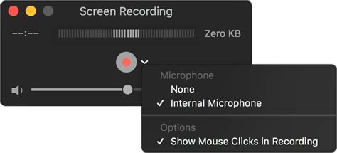 How to get voice in screen recording