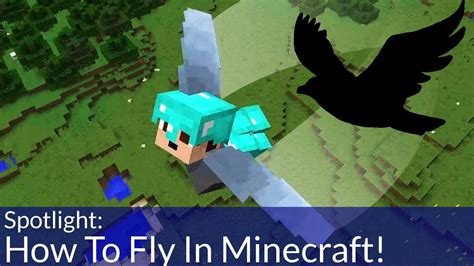 How to get wings in minecraft