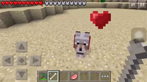 How to get wolves in minecraft pe
