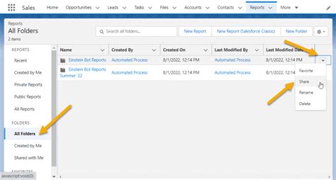 How to give Reports access to another user in Salesforce?