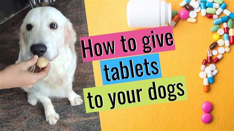 How to give a dog a tablet - YouTube