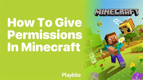 How to give someone permissions in minecraft
