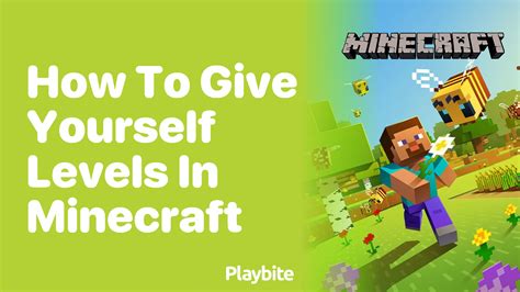 How to give yourself levels in minecraft