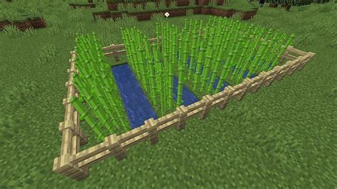 How to grow Sugar Cane in Minecraft Step by Step Guide