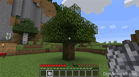 How to grow a tree on minecraft
