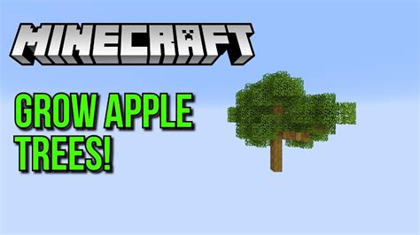 How to grow apple trees in minecraft