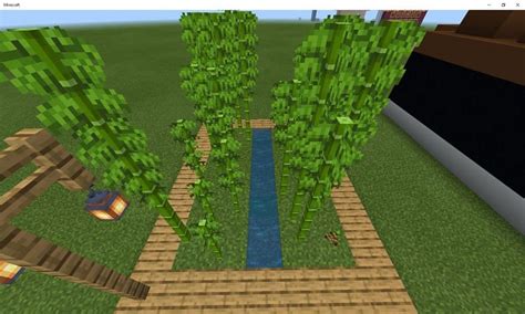 How to grow bamboo in minecraft