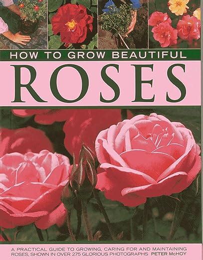 How to grow beautiful roses a practical guide to growing caring for and maintaining roses shown in over 275. - Apple tv 2017 an easy guide to the best features.