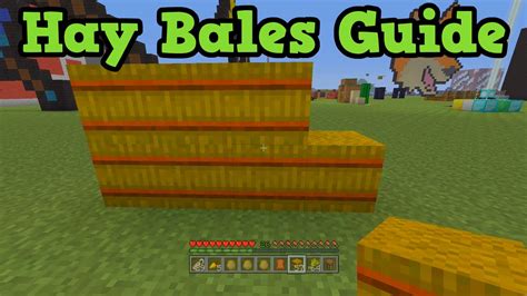How to grow hay in minecraft