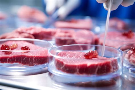 How to grow meat in a lab