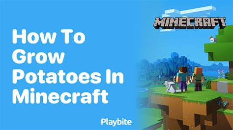 How to grow potato in Minecraft Step by Step Guide