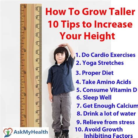 How to grow taller 4 inches within 8 weeks 1 guide. - Student solutions manual for elementary statistics bluman.