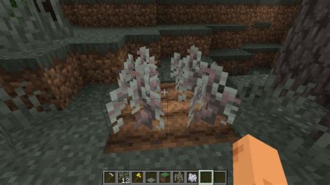 How to grow trees in minecraft