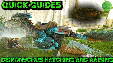 How to hatch deinonychus egg ark. May 2, 2017 · Therefore the best method when incubating an egg, is to use between 5-10 incubators (depending on the size and type of egg you are trying to hatch). These will in most cases regulate the ... 