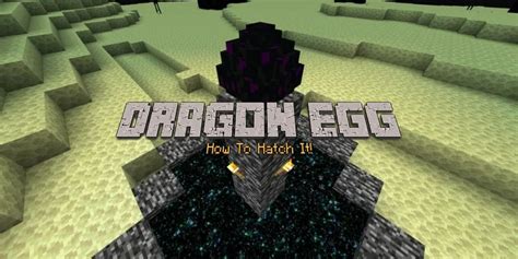 How to hatch minecraft dragon egg