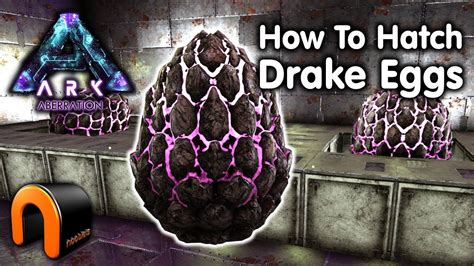 How to hatch rock drake egg. Things To Know About How to hatch rock drake egg. 