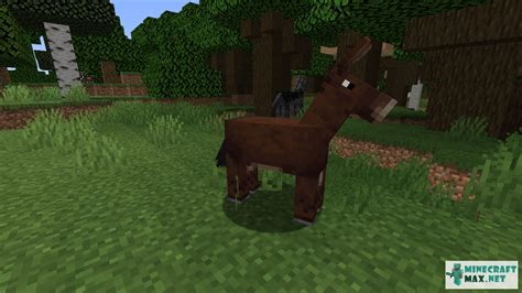 How to heal a mule in minecraft