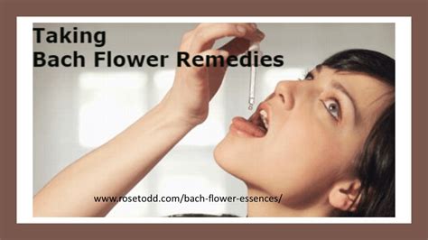 How to help children with Bach Flower Remedies - Rose Todd